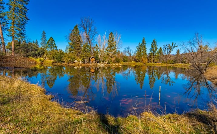 Pictures of Special Purpose property located at 4.53 AC Wortham Road, Oakhurst, CA 93644 for sales - image #1