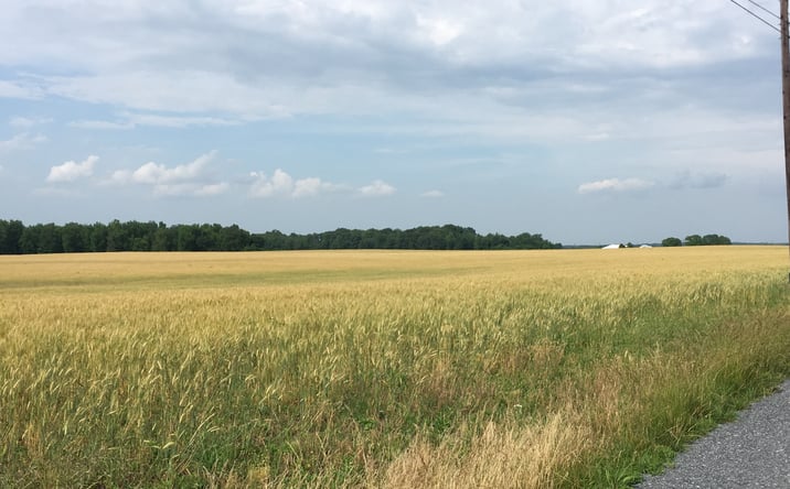 Pictures of Land property located at Carroll Clark Rd, Galena, MD 21635 for sales - image #1