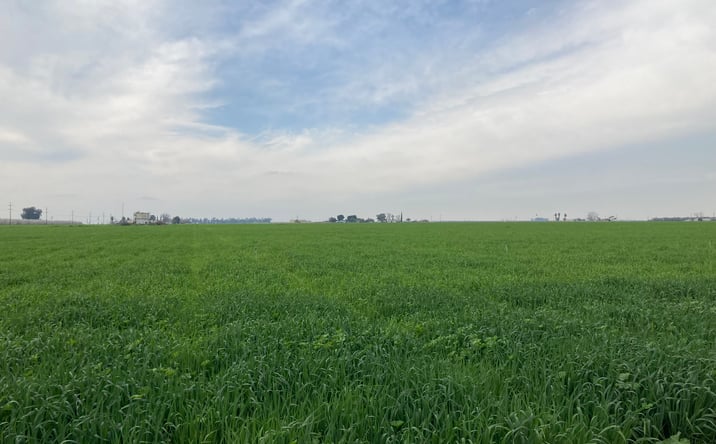 Pictures of Land property located at Comanche Dr, Arvin, CA 93203 for sales - image #1