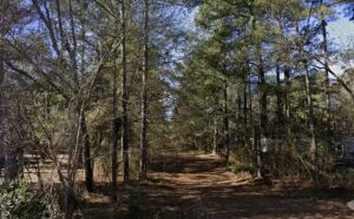 Pictures of Land property located at 0 Old Olar Road, Denmark, SC 29042 for sales - image #1