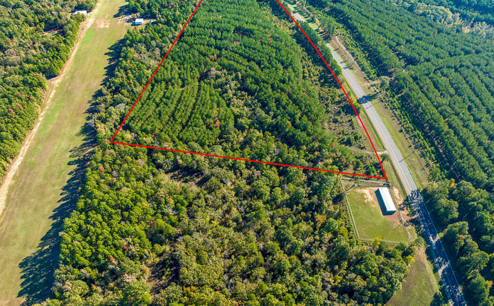 Pictures of Land property located at 0 Highway 155, Avinger, TX 75630 for sales - image #1