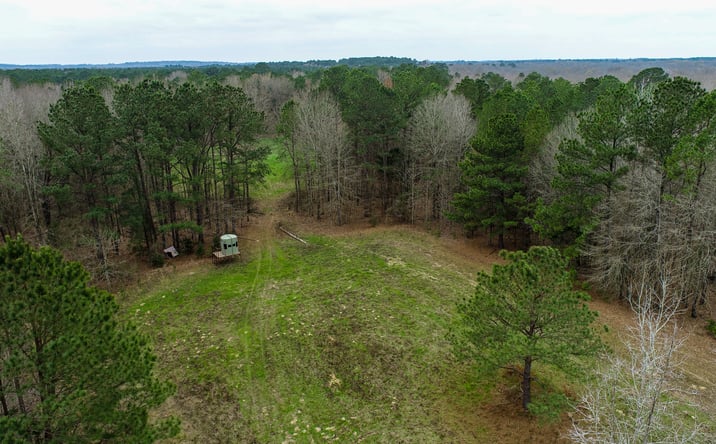 Pictures of Land property located at TBD Central Rd, Cason, TX 75636 for sales - image #1