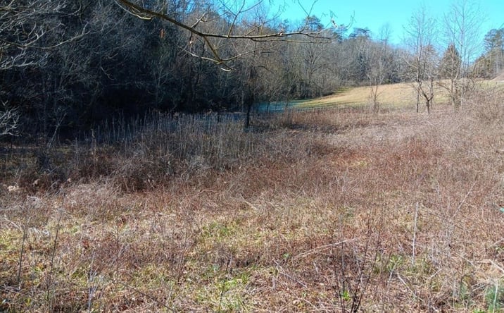 Pictures of Land property located at 0 Cracker Neck Rd, Washburn, TN 37888 for sales - image #1