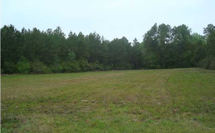 Pictures of Land property located at 5913 Hwy 231, Panama City, FL 32404 for sales - image #1