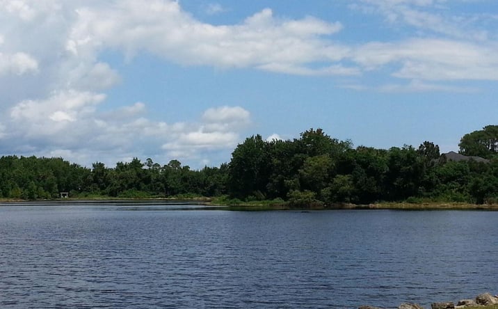 Pictures of Land property located at 3906 Rambling Acres Drive, Titusville, FL 32796 for sales - image #1