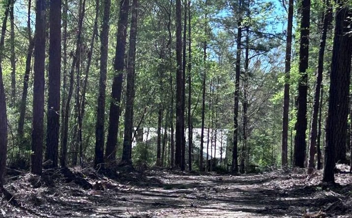 Pictures of Land property located at 619 Lakeside Dr, Carriere, MS 39426 for sales - image #1