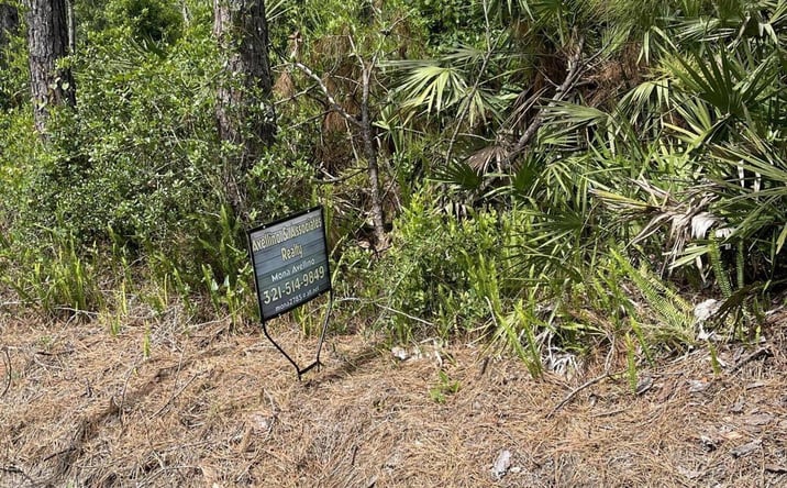 Pictures of Land property located at 000000 11th Avenue, DeLand, FL 32724 for sales - image #1