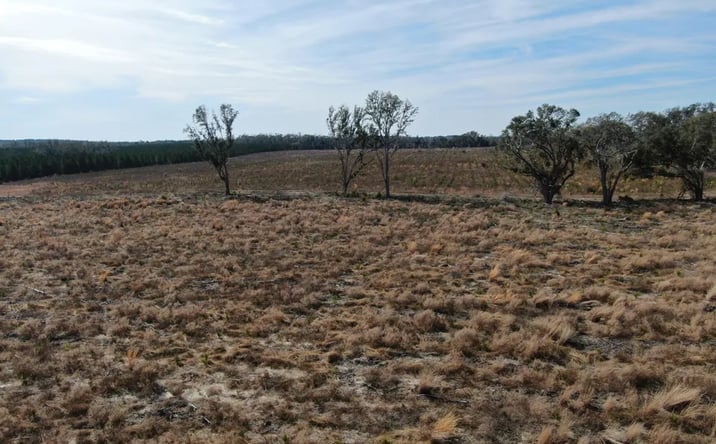 Pictures of Land property located at Vacant NE Duval Pond Rd, Madison, FL 32340 for sales - image #1