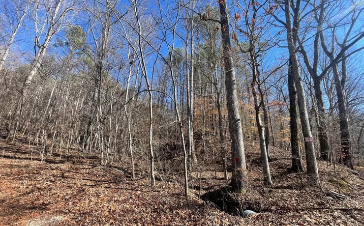 Pictures of Land property located at 000 McFall Lane, Lutts, TN 38471 for sales - image #1