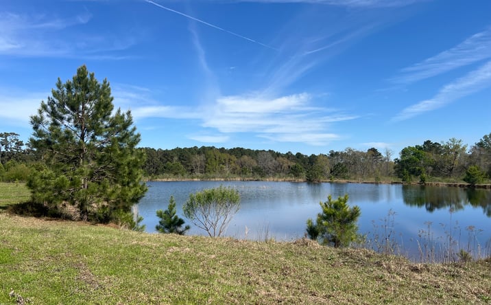 Pictures of Land property located at Patterson Rd, Dothan, AL 36301 for sales - image #1