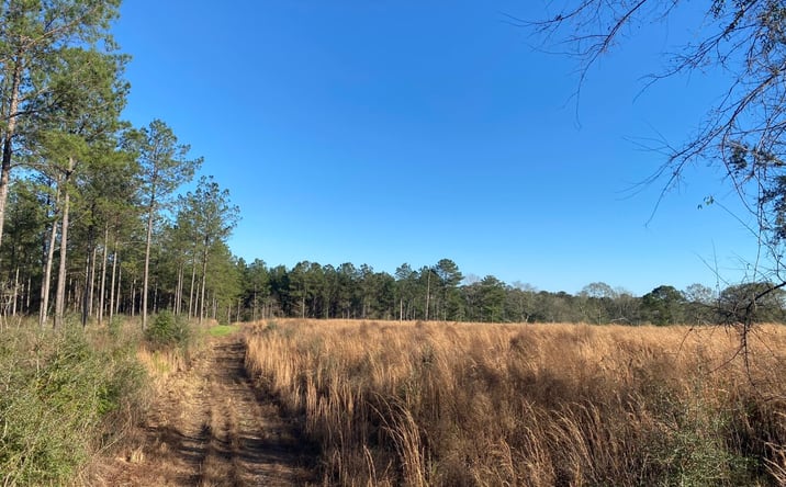 Pictures of Land property located at 217 N Slade Road, Sumrall, MS 39482 for sales - image #1
