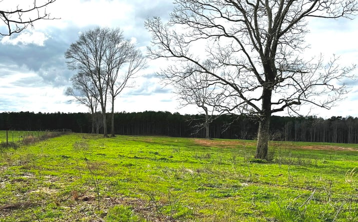 Pictures of Land property located at 275 Sam Graham Road, Prentiss, MS 39474 for sales - image #1
