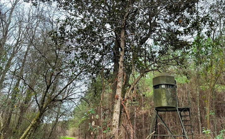 Pictures of Land property located at 00 Sam Graham Road, Prentiss, MS 39474 for sales - image #1