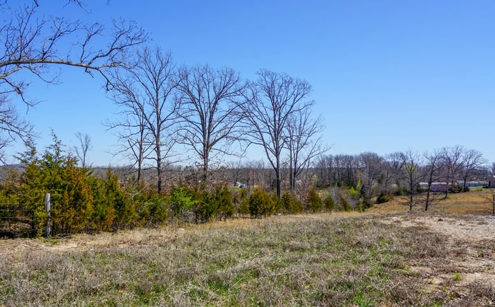 Pictures of Land property located at Co Rd 8170, Newburg, MO 65560 for sales - image #1