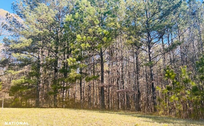 Pictures of Land property located at 0 Wagers Mill Road, Newnan, GA 30263 for sales - image #1