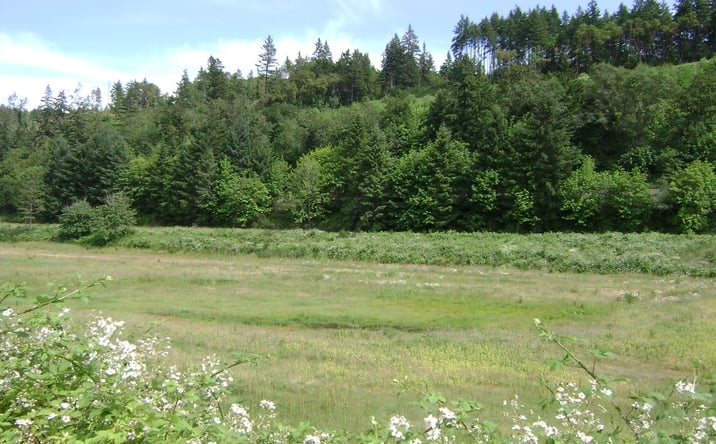 Pictures of Land property located at 560 Stearns Ln, Oakland, OR 97462 for sales - image #1