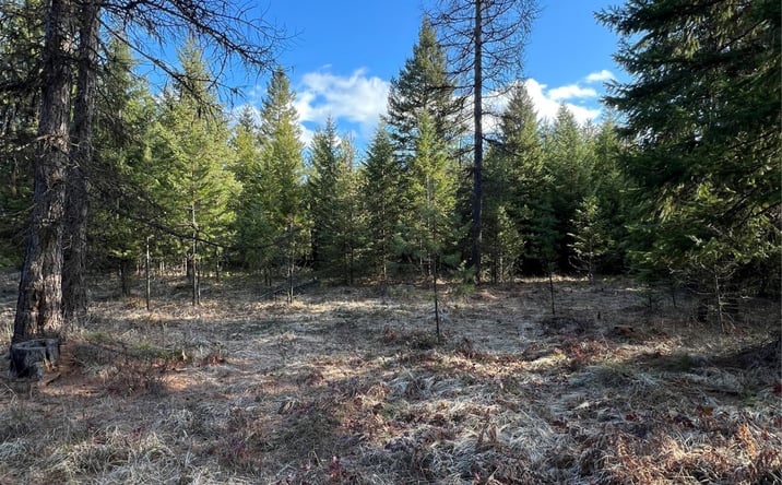 Pictures of Land property located at Nhn Sapphire Lane E Lot 3, Trout Creek, MT 59874 for sales - image #1