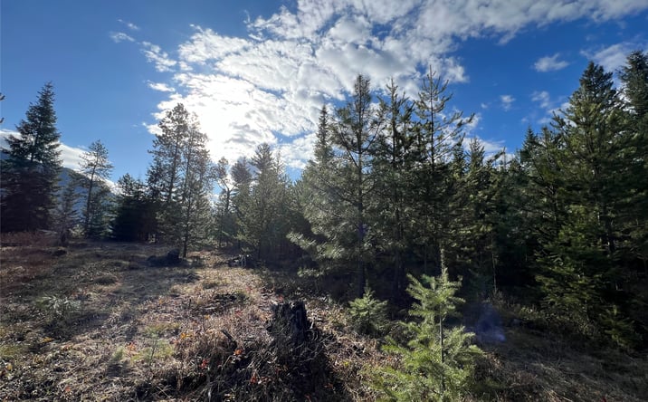 Pictures of Land property located at Nhn Sapphire Lane E Lot 4, Trout Creek, MT 59874 for sales - image #1