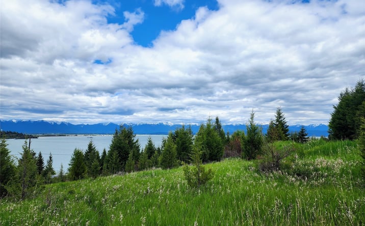 Pictures of Land property located at 898 Elias Lane, Somers, MT 59932 for sales - image #1