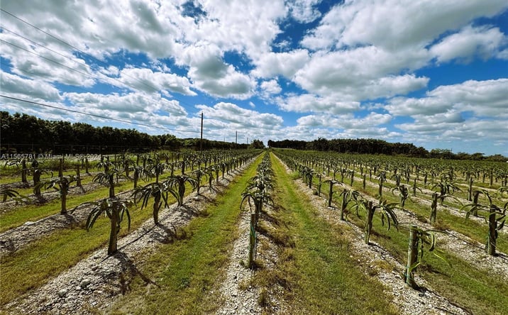 Pictures of Land property located at 152xx SW 197th Ave, Miami, FL 33196 for sales - image #1