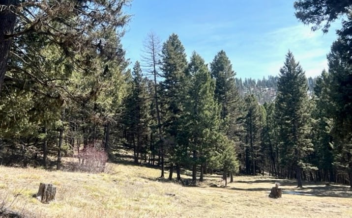 Pictures of Land property located at 990 Elkhorn Road, Seeley Lake, MT 59868 for sales - image #1