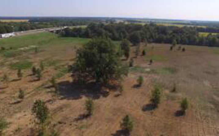 Pictures of Land property located at 216 I-40 25.25 Acres Drive, Brinkley, AR 72021 for sales - image #1