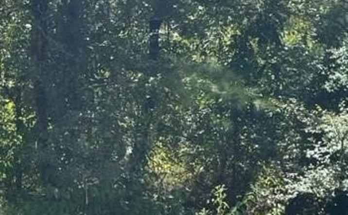 Pictures of Land property located at 85 Top Notch Lane, Broken Bow, OK 74728 for sales - image #1