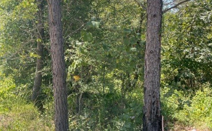 Pictures of Land property located at 205 Bear Cedar Trl, Broken Bow, OK 74728 for sales - image #1
