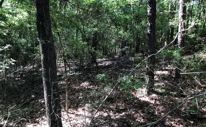 Pictures of Land, Multifamily, Special Purpose property located at NHN Bear Dr, Carriere, MS 39426 for sales - image #1