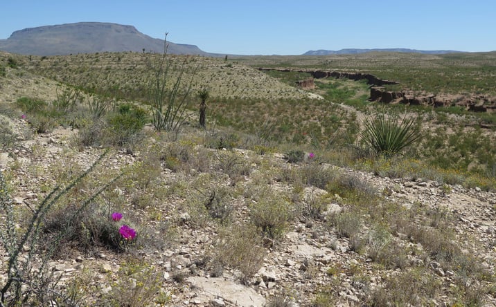 Pictures of Land property located at 49101 TX-118, Alpine, TX 79830 for sales - image #1