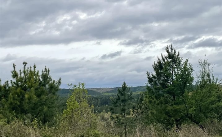 Pictures of Land property located at 136 Charmed Rdg Ln, Broken Bow, OK 74728 for sales - image #1