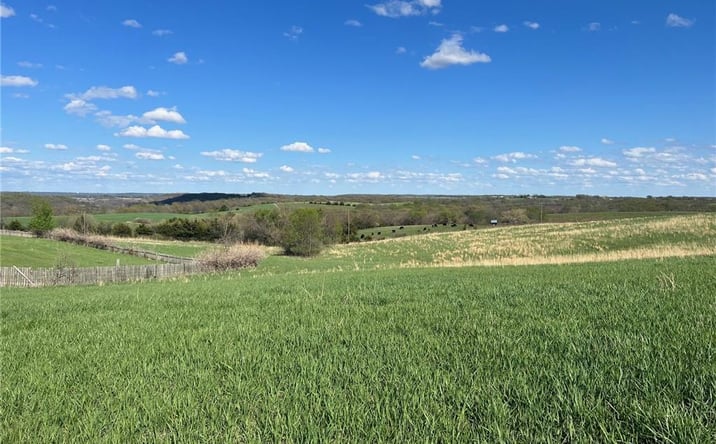 Pictures of Land property located at 195th Street, Easton, KS 66020 for sales - image #1