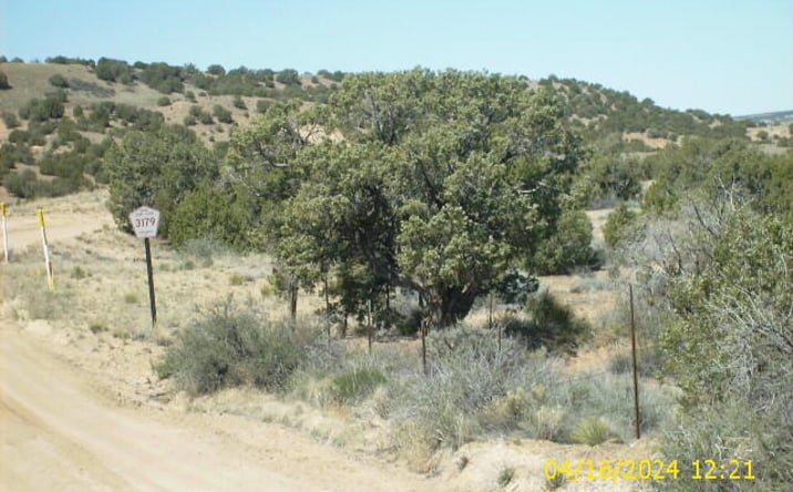Pictures of Land property located at X ROAD 3179, Aztec, NM 87410 for sales - image #1