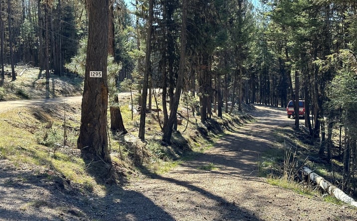 Pictures of Land property located at 1295 Stage Coach Drive, Seeley Lake, MT 59868 for sales - image #1