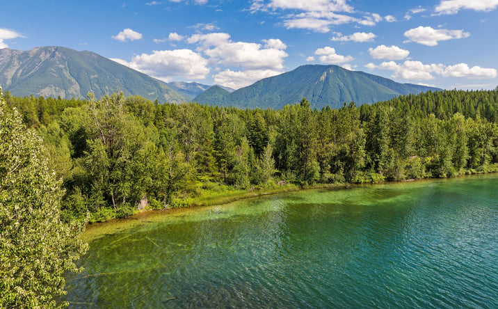 Pictures of Land property located at NHN Belton Stage, West Glacier, MT 59936 for sales - image #1