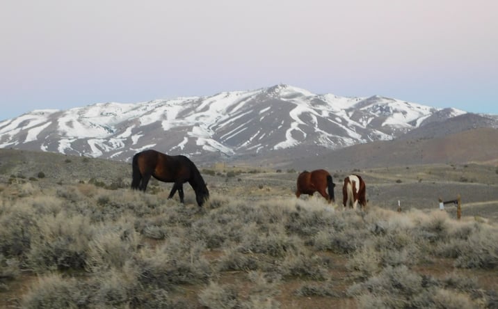 Pictures of Land property located at Schaad Ln, Dayton, NV 89403 for sales - image #1