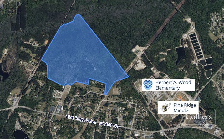 Pictures of Land property located at Congaree Dr, Pine Ridge, SC 29172 for sales - image #1