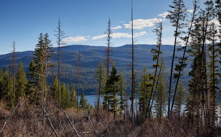 Pictures of Land property located at NHN Swan Lake Overlook, Bigfork, MT 59911 for sales - image #1