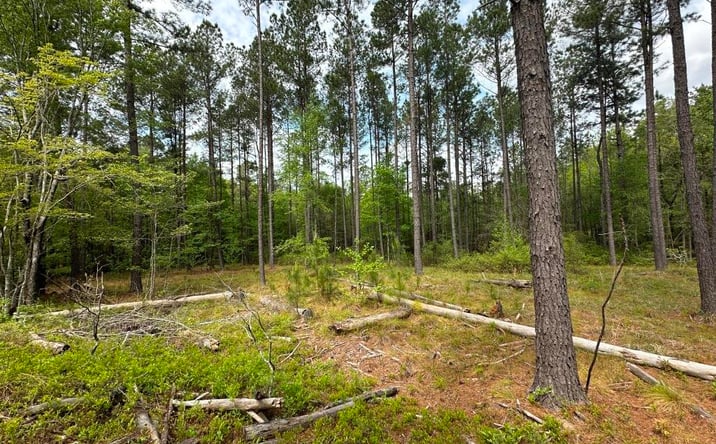 Pictures of Land property located at 613 Rocky Knob Road, Sylvania, GA 30467 for sales - image #1