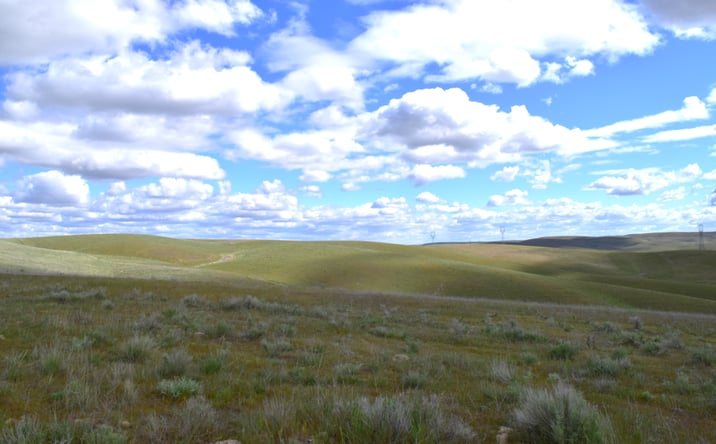 Pictures of Land property located at 2367 Scott Station Road, Prescott, WA 99348 for sales - image #1