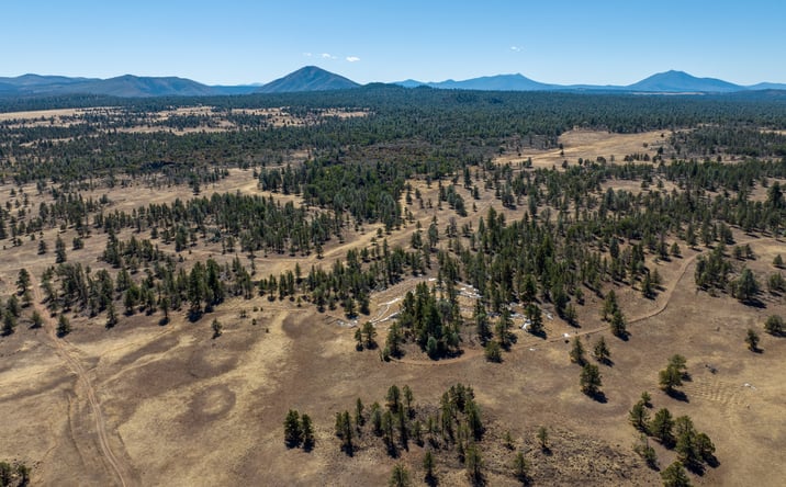 Pictures of Land property located at Old Highway Road, Outside Area (inside Ca), CA 96056 for sales - image #1