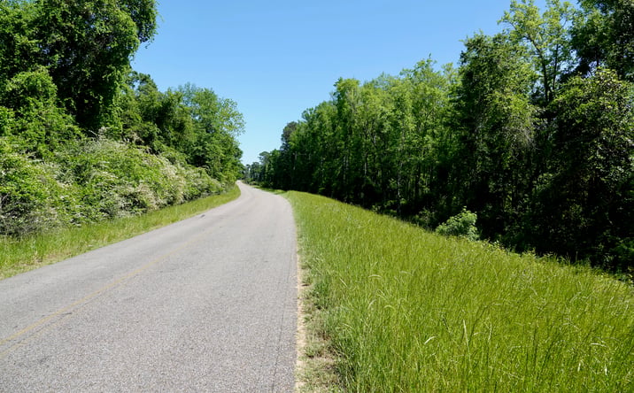 Pictures of Land property located at E. Reeves Street, Malvern, AL 36375 for sales - image #1