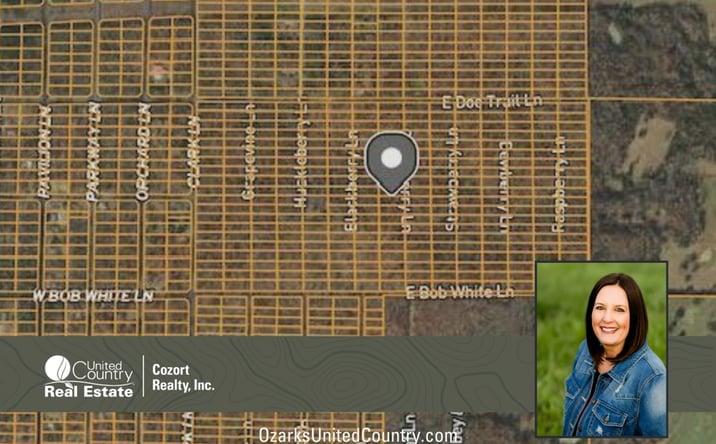 Pictures of Land property located at 1412 Blackberry Ln, Horseshoe Bend, AR 72512 for sales - image #1