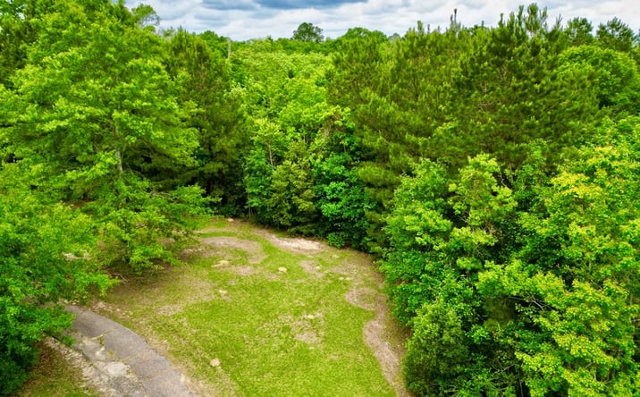 Pictures of Land property located at NHN Savannah Millard Rd., Poplarville, MS 39470 for sales - image #1