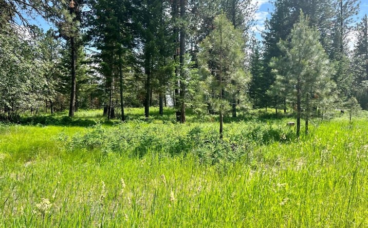Pictures of Land property located at Lot 17 Meadow Road, Polson, MT 59860 for sales - image #1