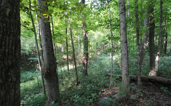 Pictures of Land property located at 0 Columbus Road, Mount Vernon, OH 43050 for sales - image #1