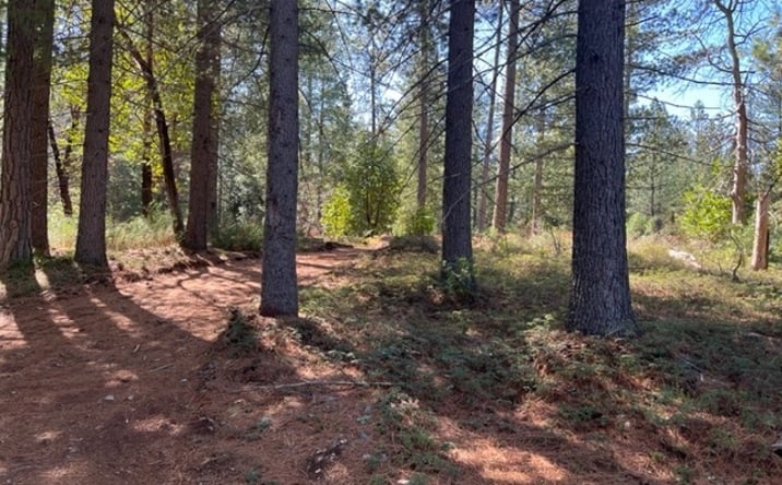 Pictures of Land property located at 10715 Brunswick Rd, Grass Valley, CA 95945 for sales - image #1