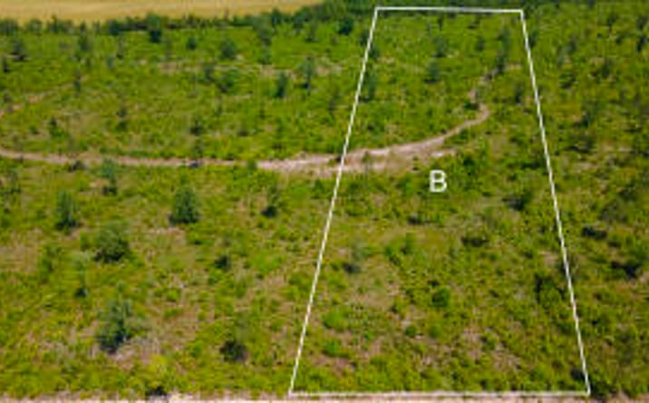 Pictures of Land property located at Lot B Old Shoals Road, Monetta, SC 29105 for sales - image #1