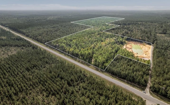Pictures of Land property located at 55 Acres Texas Flat Rd, Kiln, MS 39556 for sales - image #1