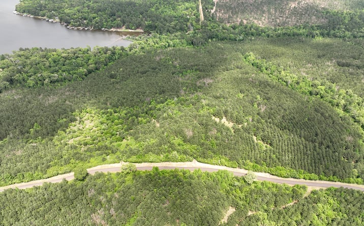 Pictures of Land property located at 5 County Road 2145, Wheeler Springs, TX 75835 for sales - image #1